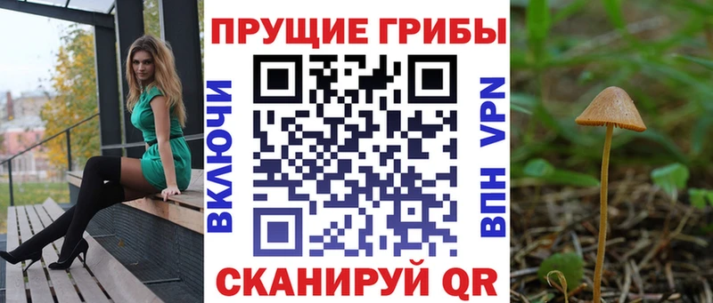 Псилоцибиновые грибы прущие грибы  ссылка на мегу вход  Городовиковск  купить  сайты 